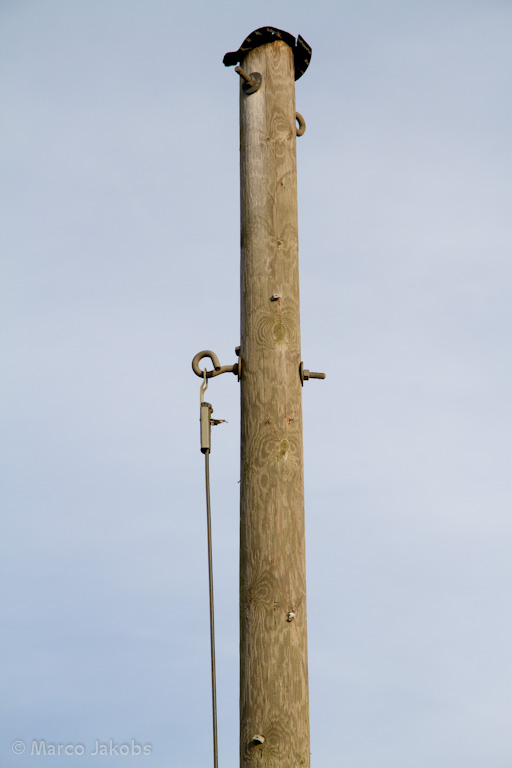 111211134429 IMG 6735