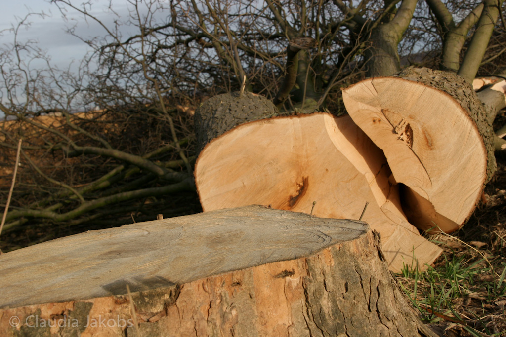 111211134439 IMG 0894