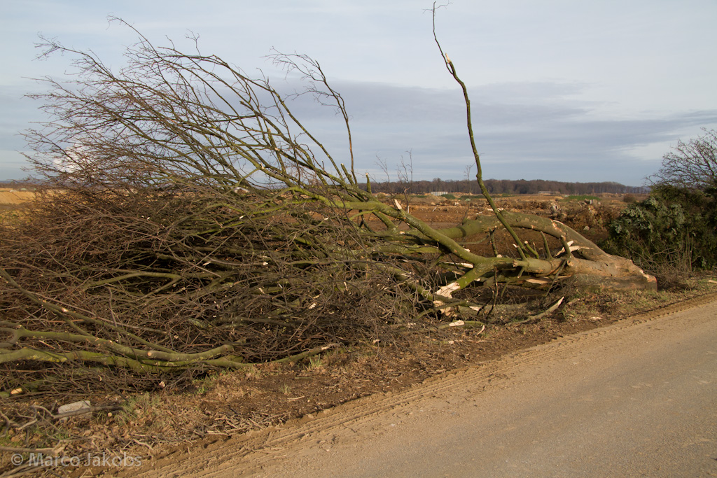 111211134449 IMG 6736