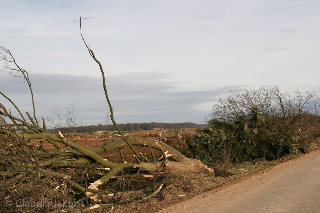 111211134458 IMG 0895