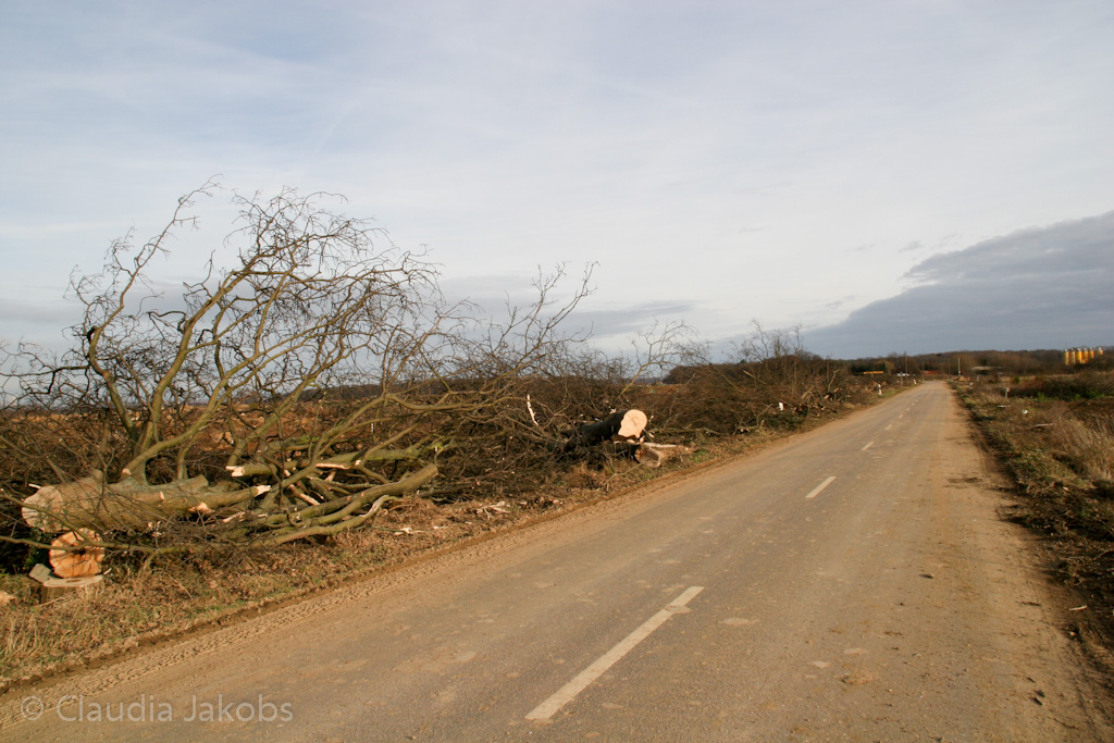 111211134543 IMG 0898