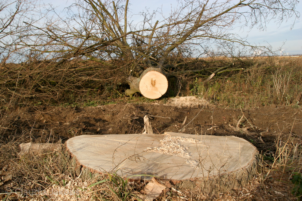 111211134713 IMG 0901