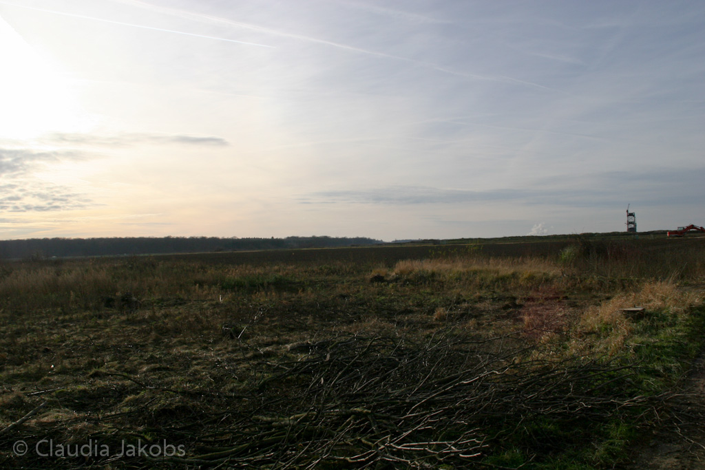 111211134814 IMG 0904