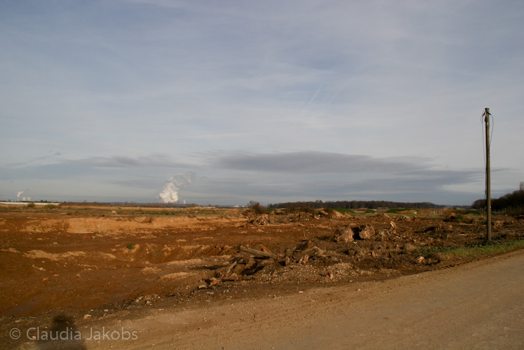 111211134841 IMG 0905