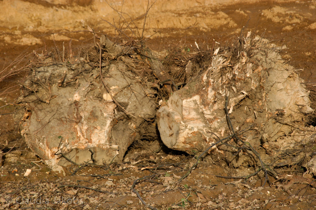 111211134911 IMG 0907