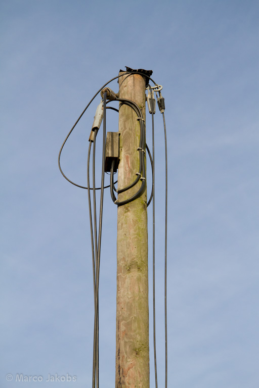 111211134913 IMG 6747