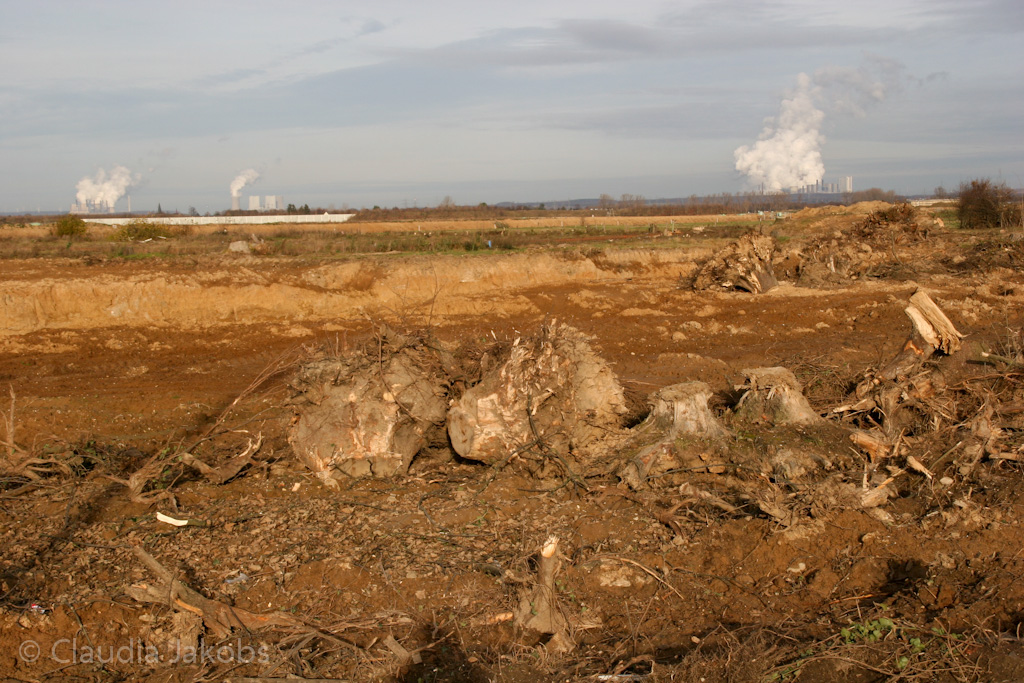 111211134915 IMG 0908