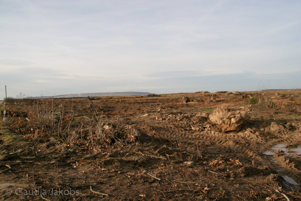 111211135116 IMG 0914