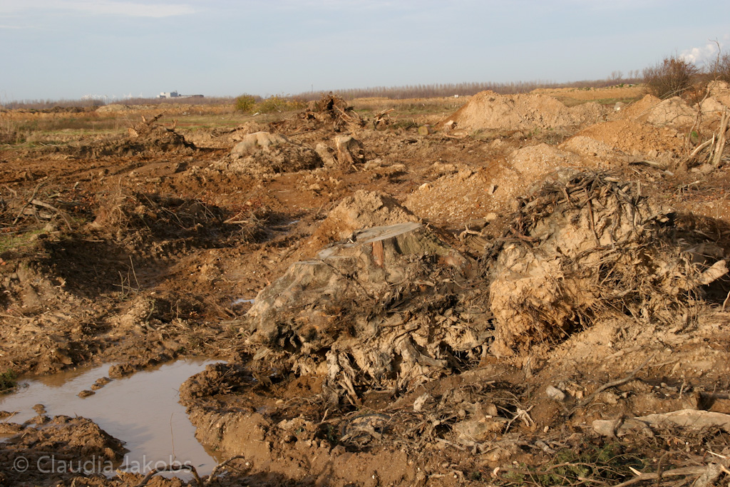 111211135122 IMG 0915