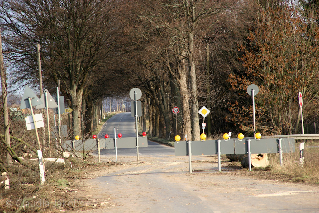 111211135202 IMG 0917