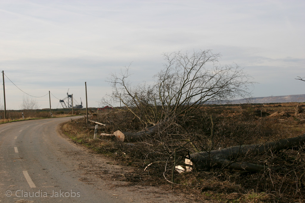 111211135237 IMG 0918