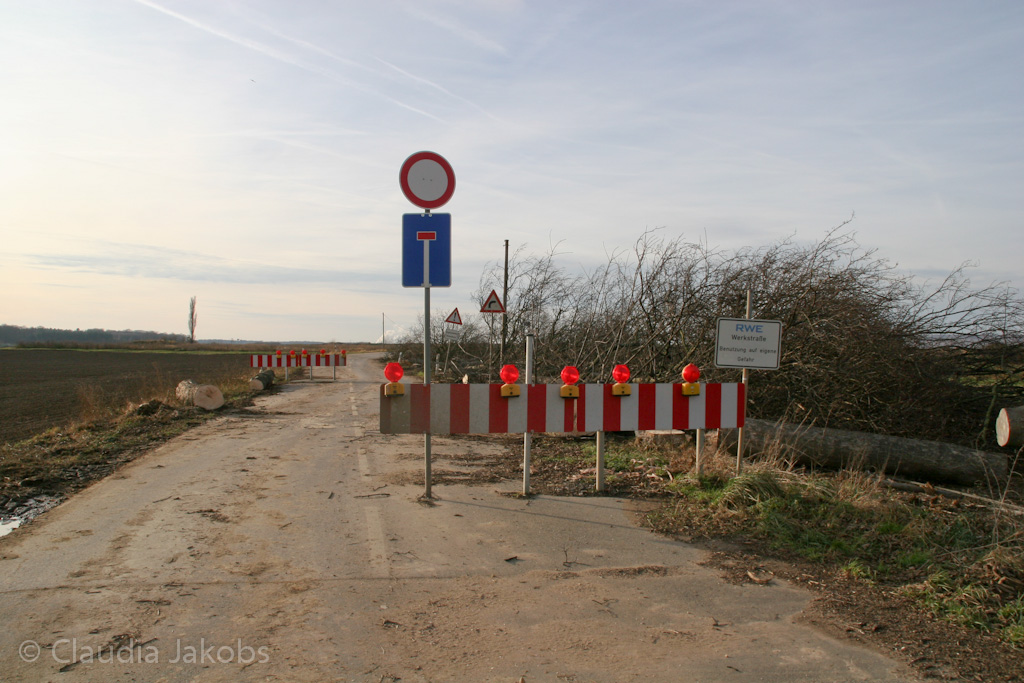 111211135355 IMG 0920