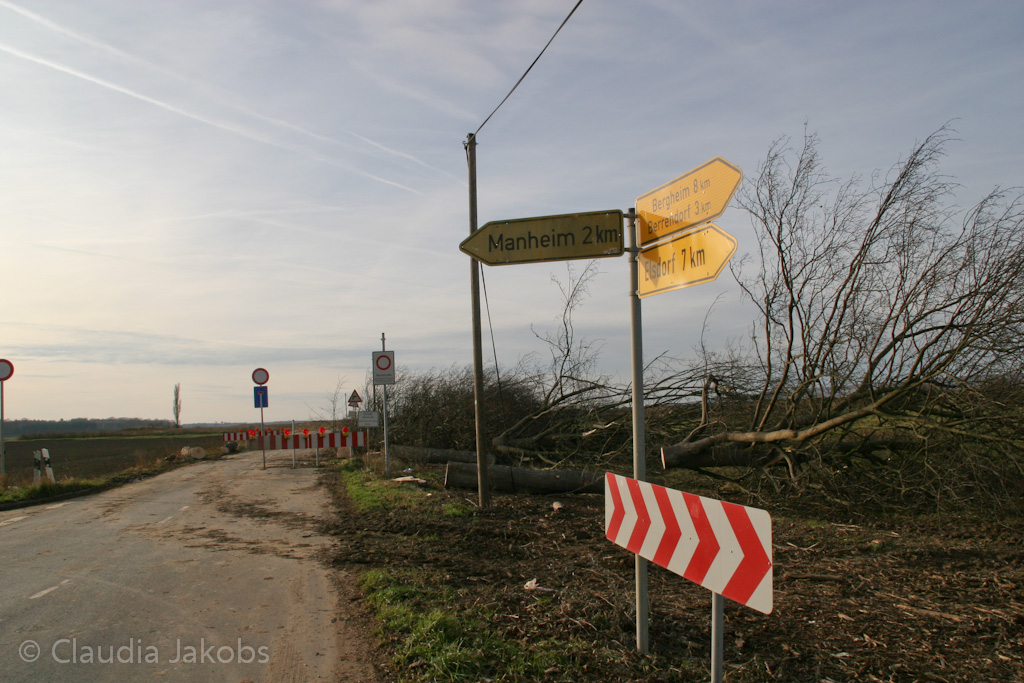 111211135417 IMG 0922