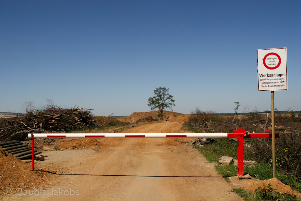 110525125207 IMG 6823