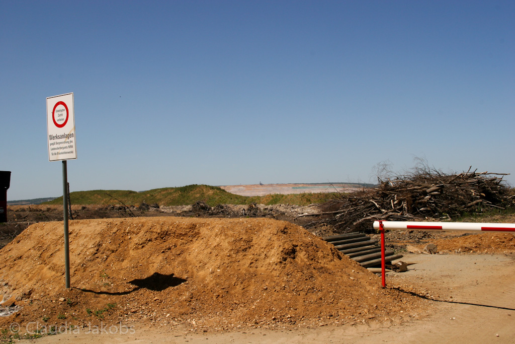 110525125221 IMG 6824