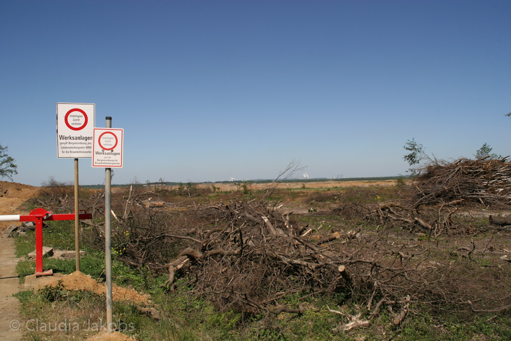 110525125229 IMG 6825