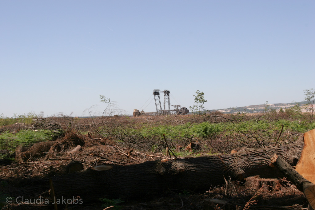 110525125920 IMG 6831