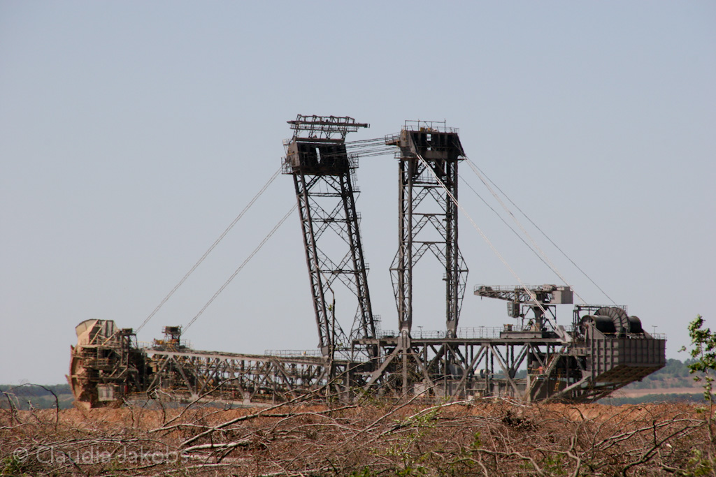 110525130009 IMG 6835