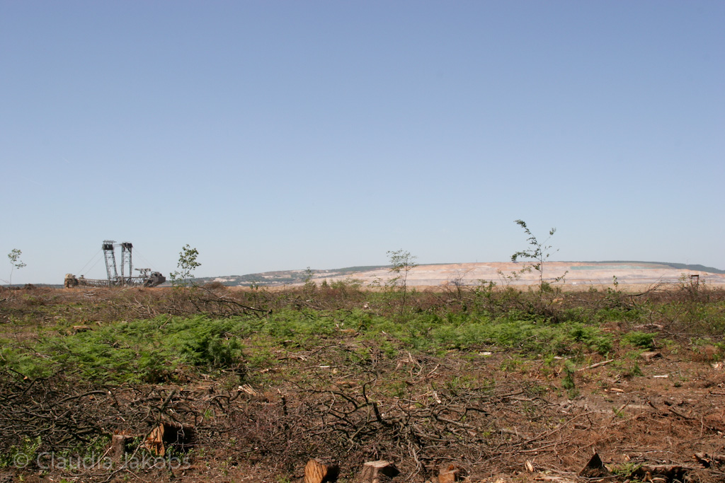 110525130016 IMG 6836