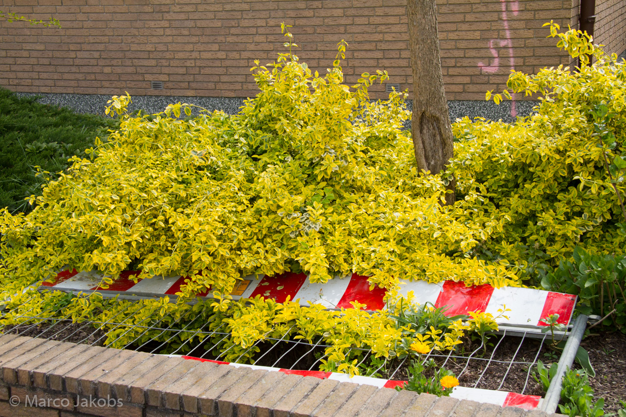 20150502114345 MJ  3673