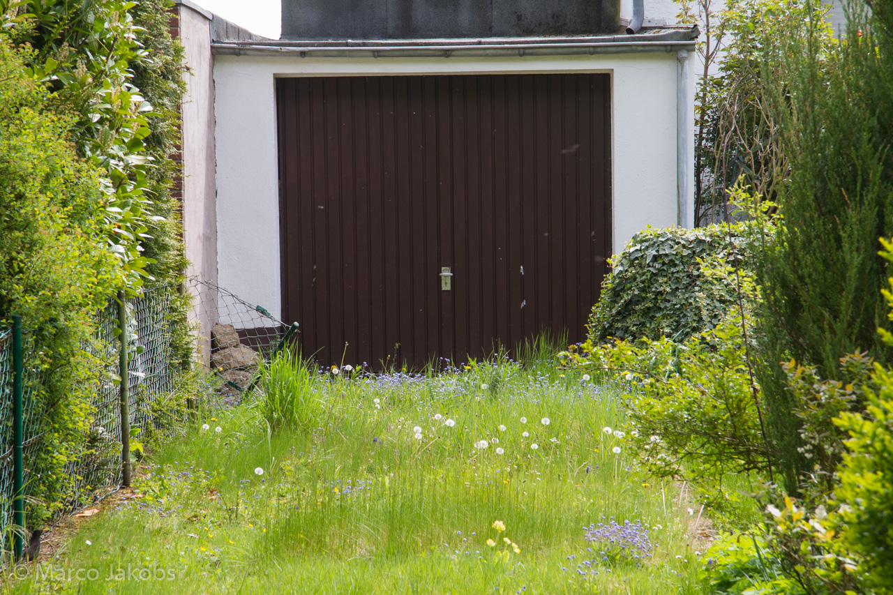 20150502115038 MJ  3690