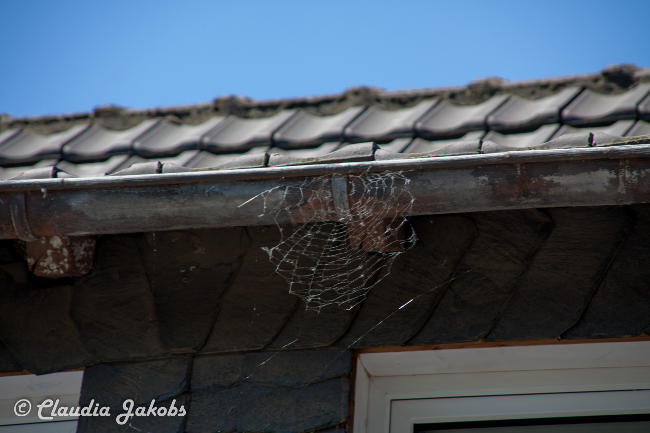 20160508121838 IMG 0531