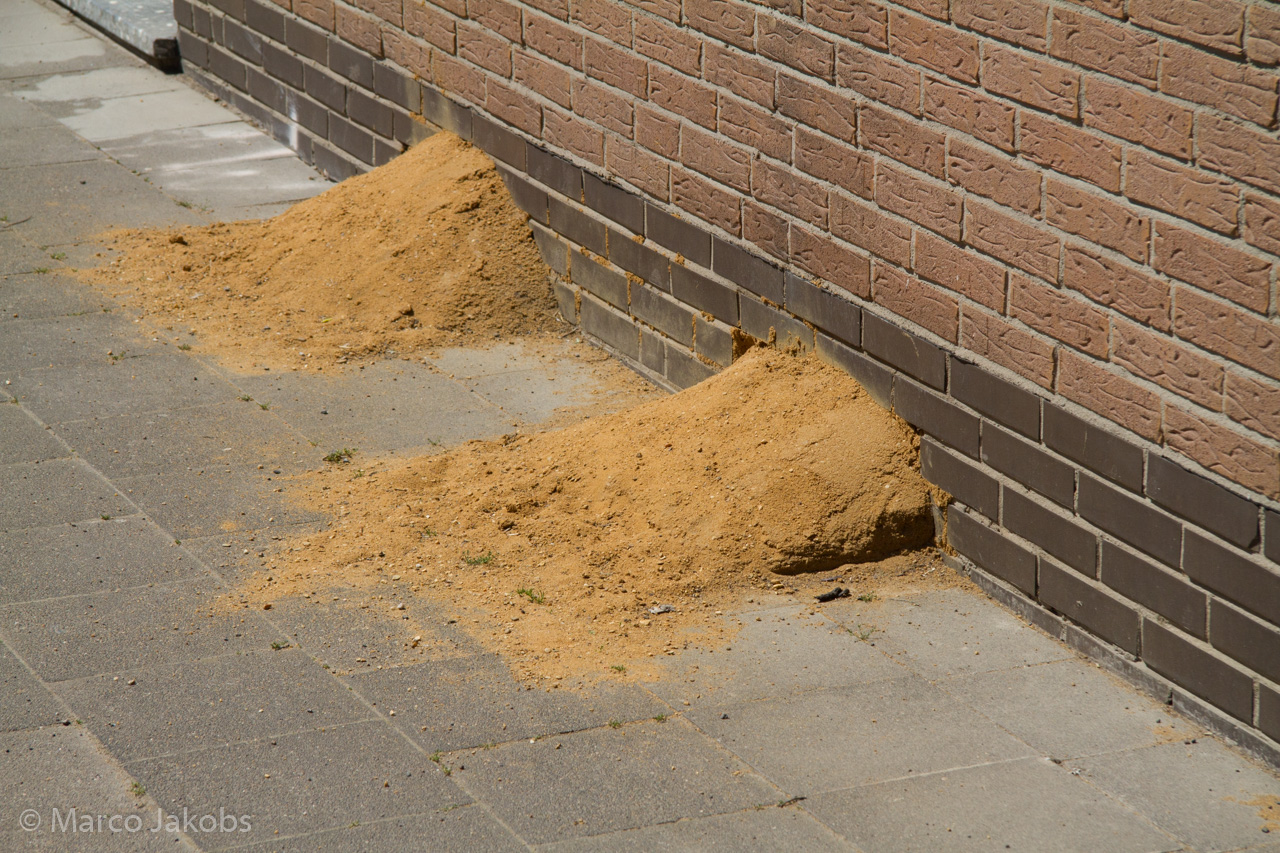 20160508122338 MJ  4448