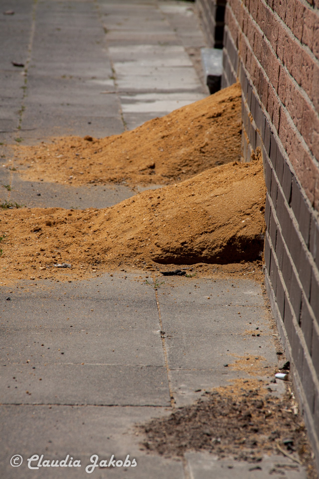 20160508122404 IMG 0544