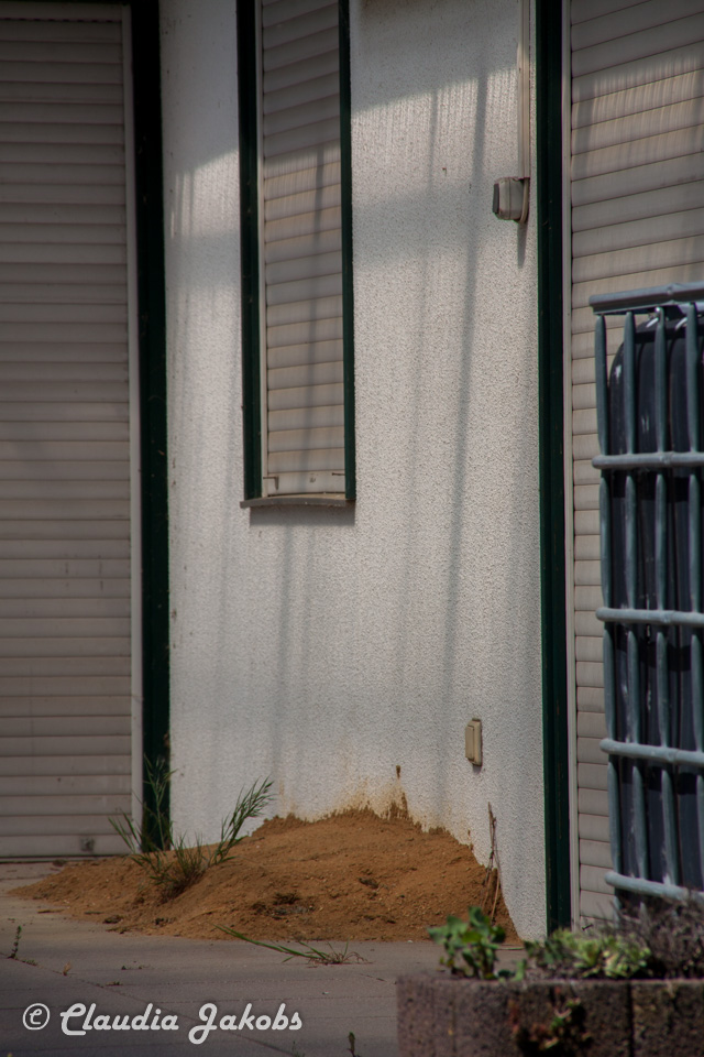 20160508122809 IMG 0553