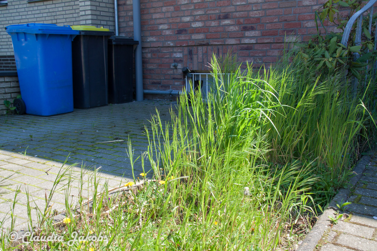 20160508122853 IMG 0554