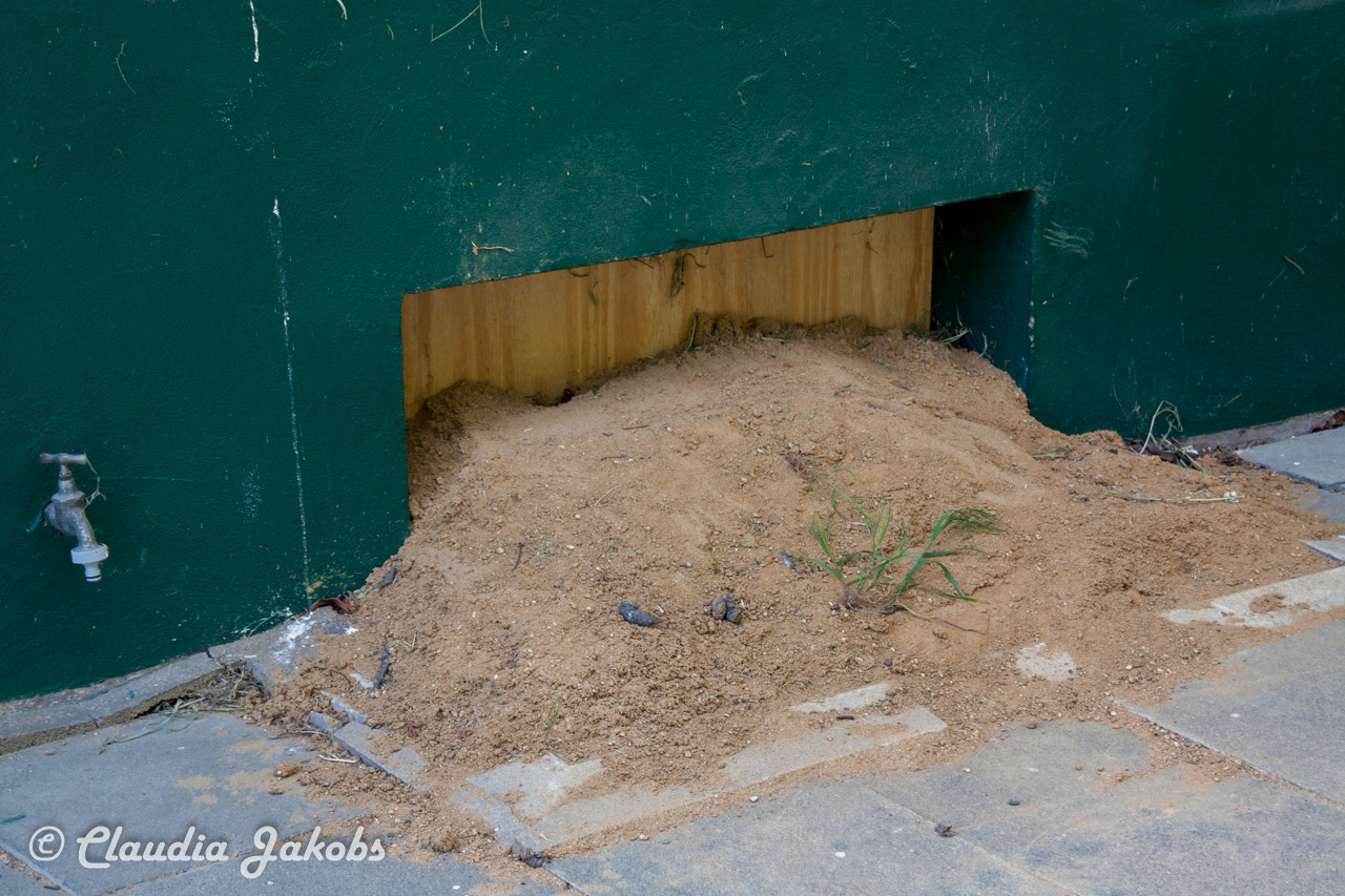 20160508122917 IMG 0555