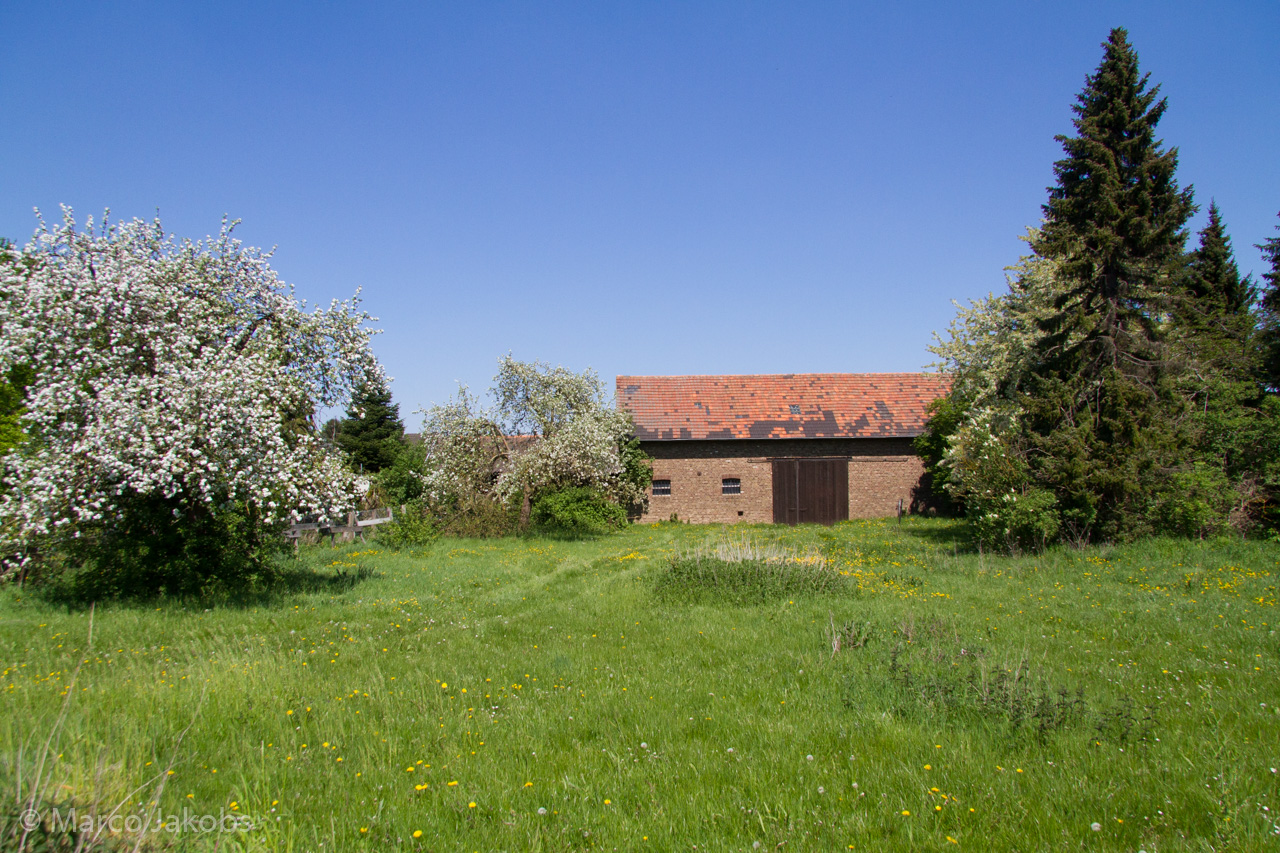 20160508123422 MJ  4465