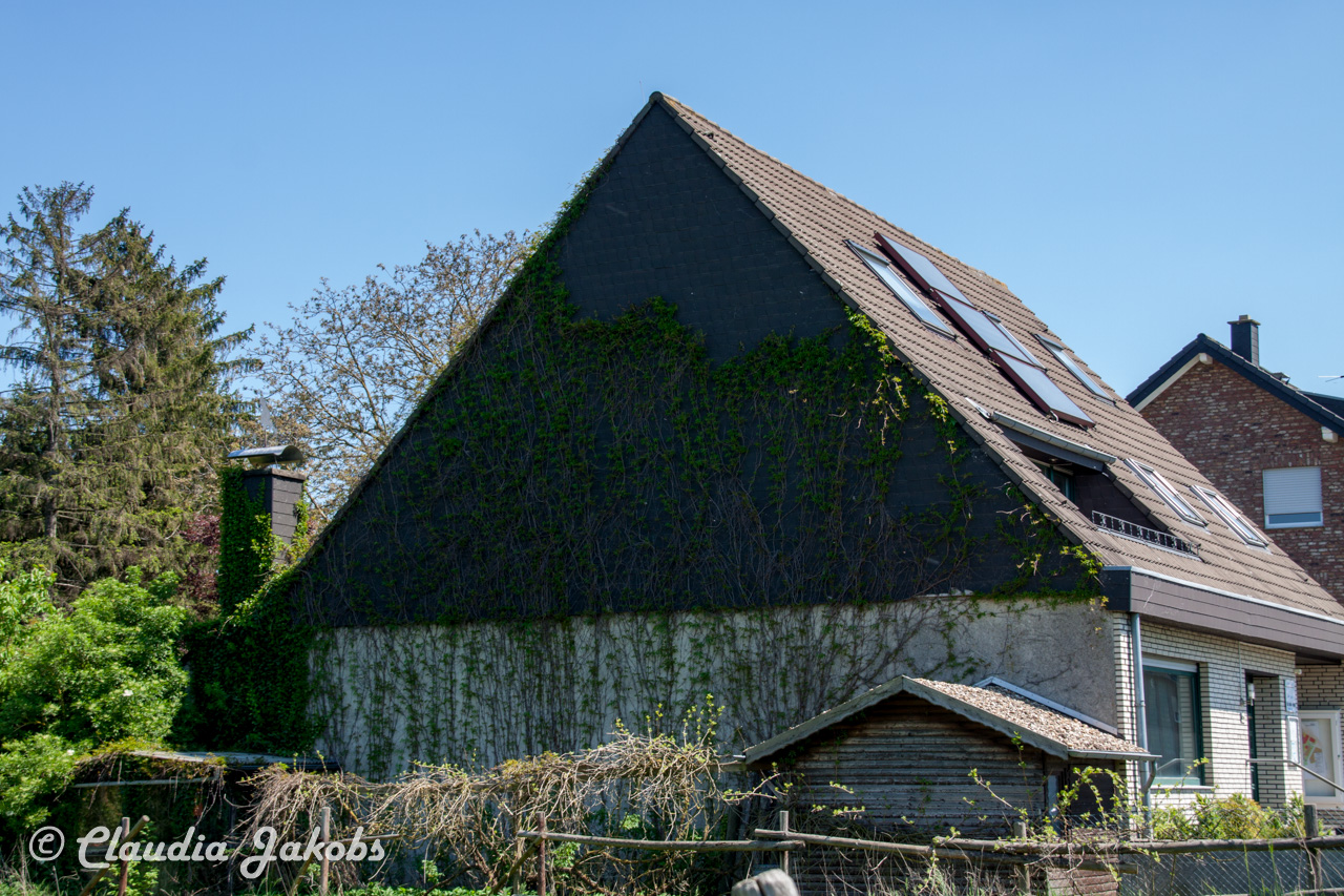 20160508123454 IMG 0561