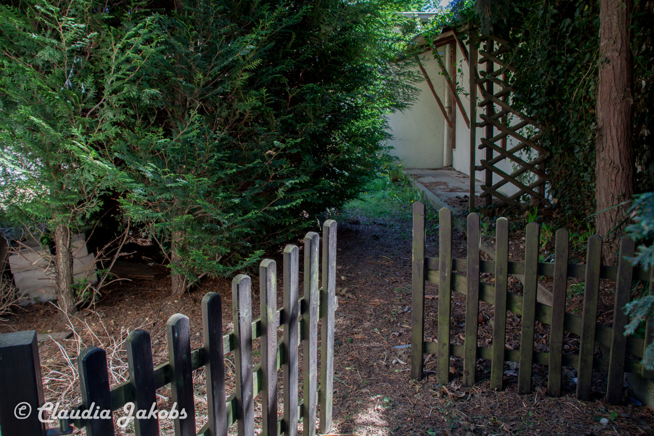 20160508125216 IMG 0565