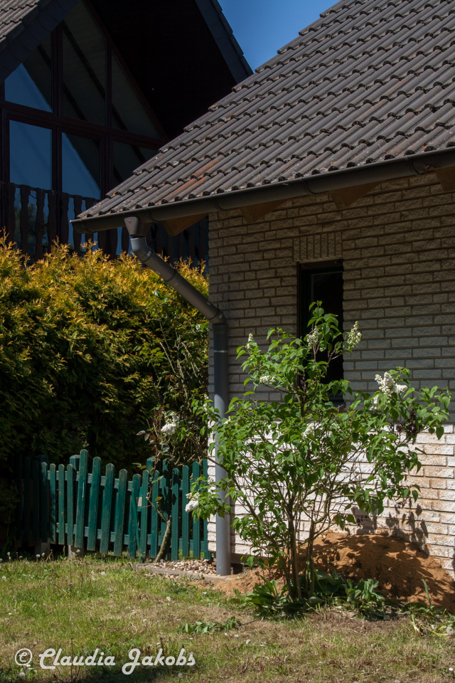 20160508125346 IMG 0568