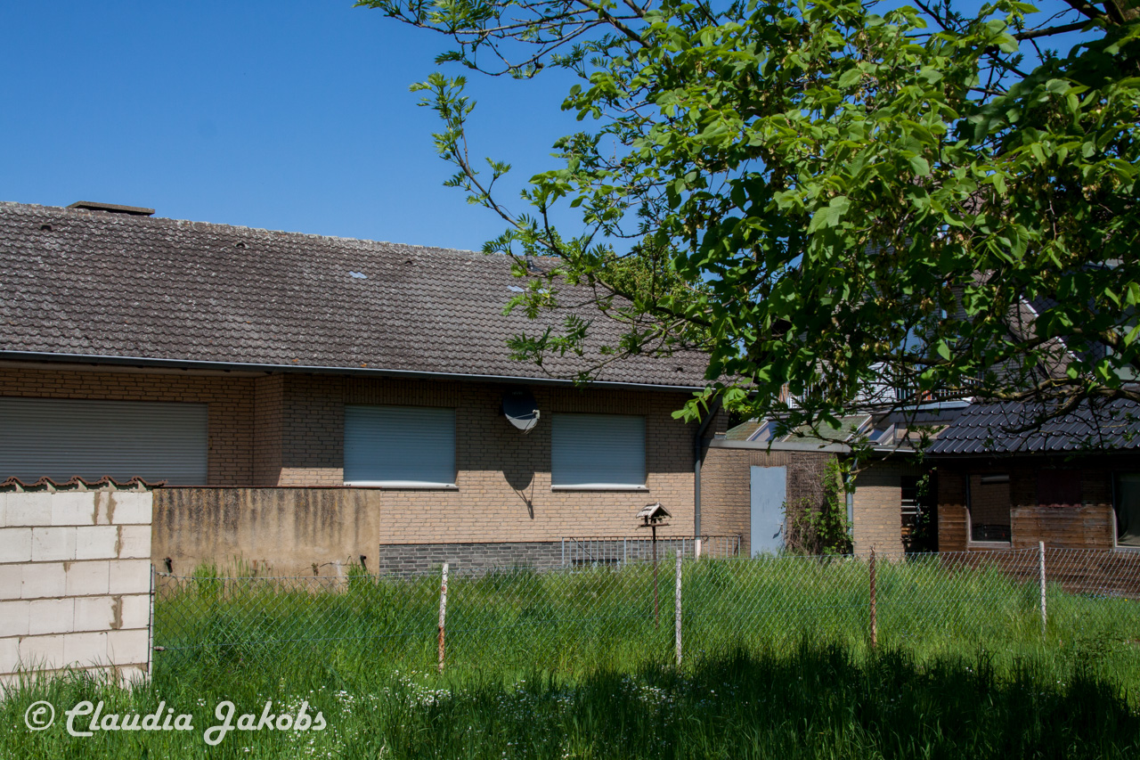 20160508125901 IMG 0570