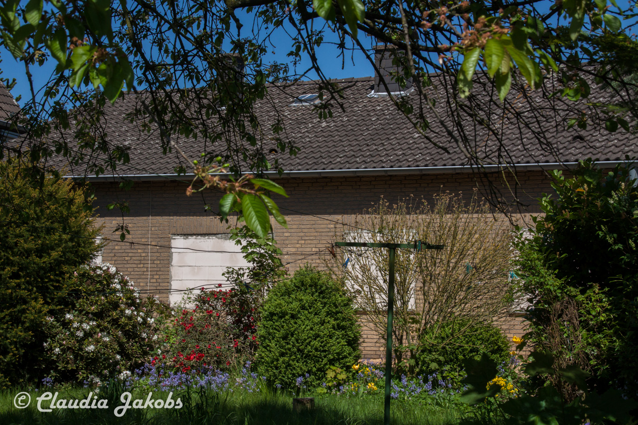 20160508130058 IMG 0571