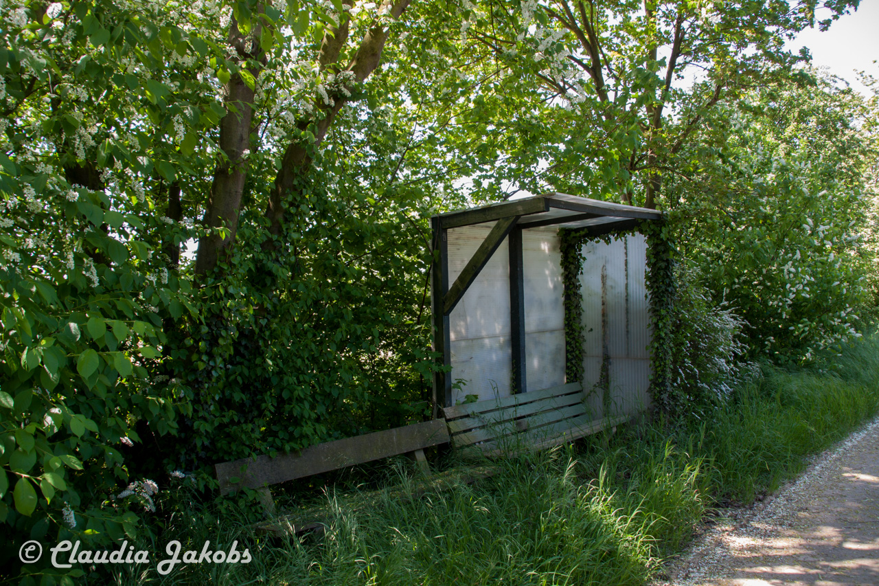 20160508130112 IMG 0572