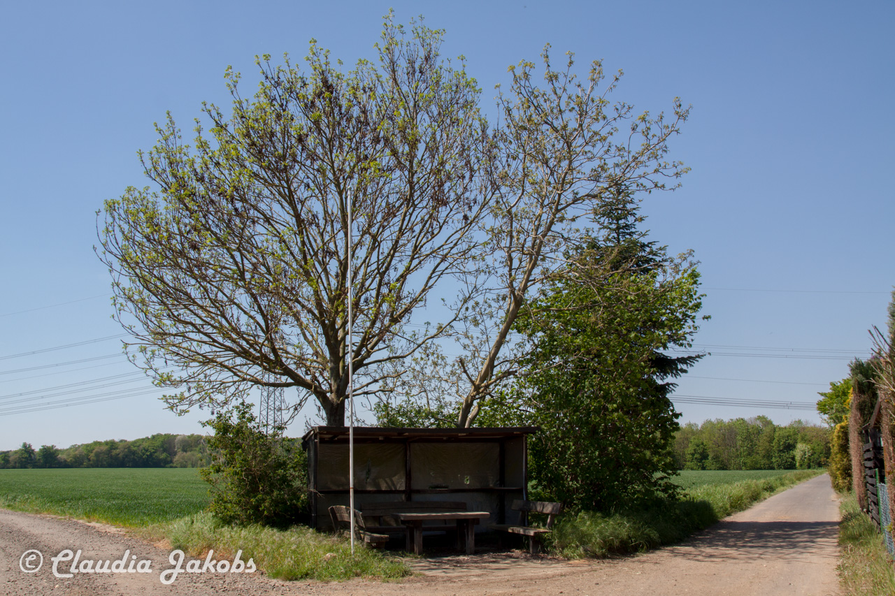 20160508130151 IMG 0573