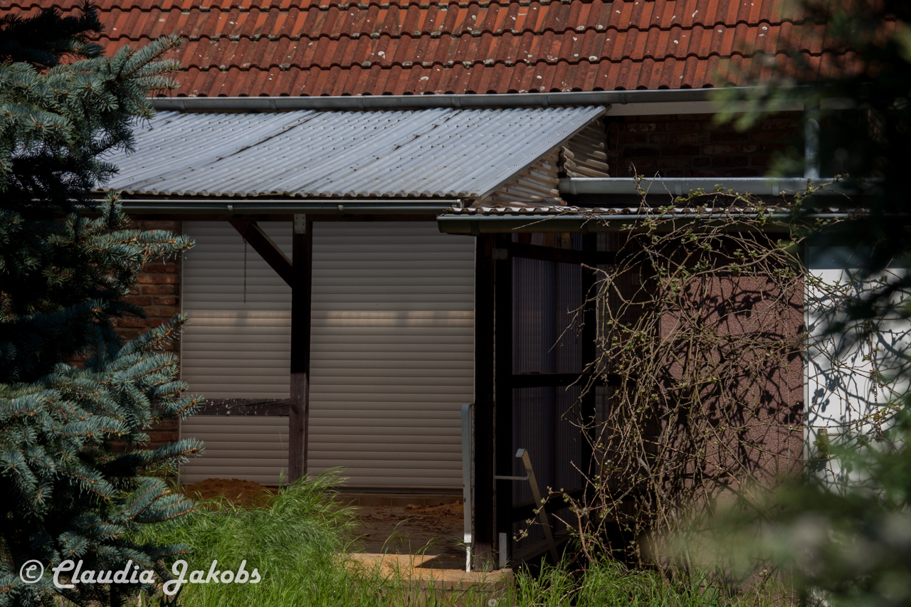 20160508130204 IMG 0574