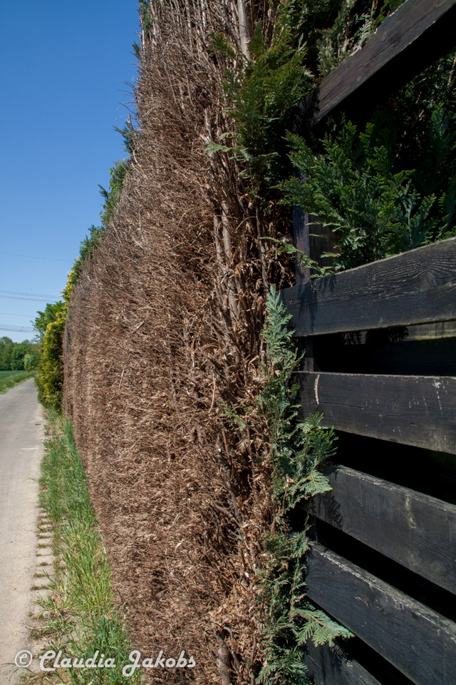 20160508130231 IMG 0575