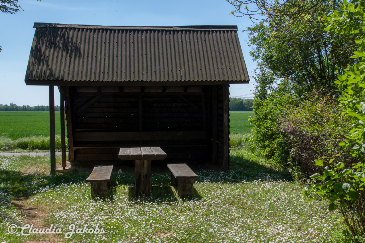 20160508130413 IMG 0577