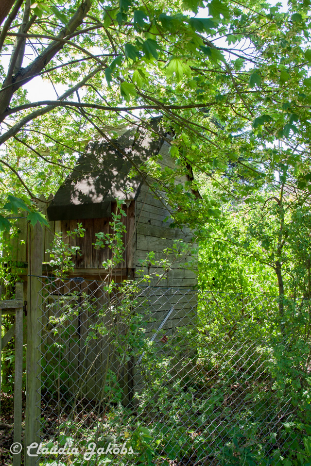 20160508130539 IMG 0583