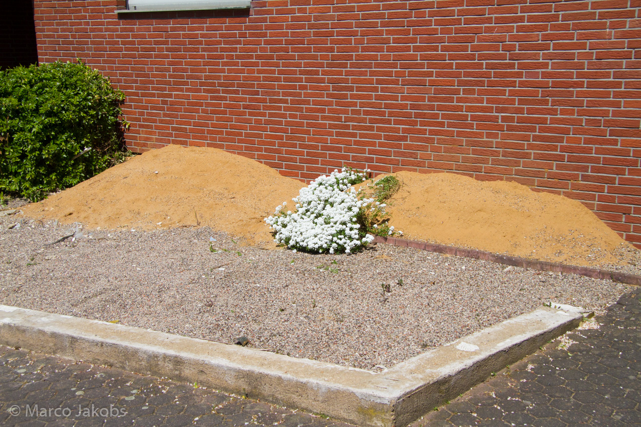 20160508130622 MJ  4486