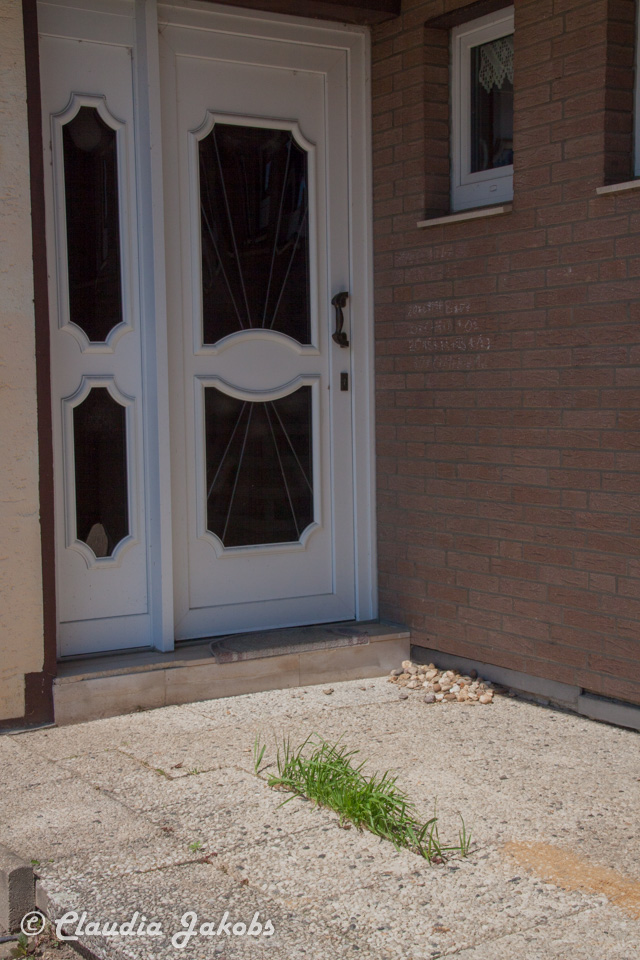 20160508130841 IMG 0589