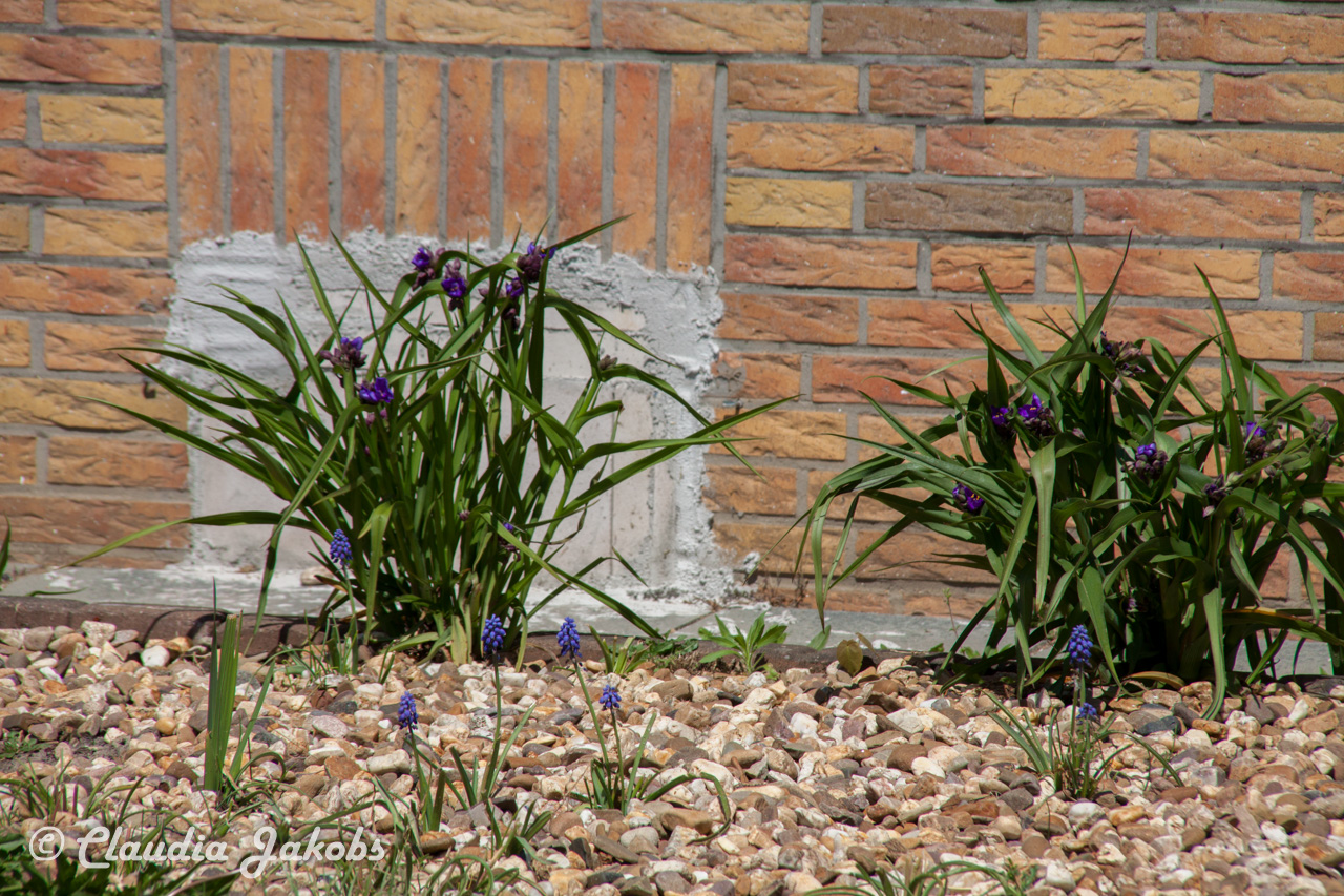 20160508131002 IMG 0592