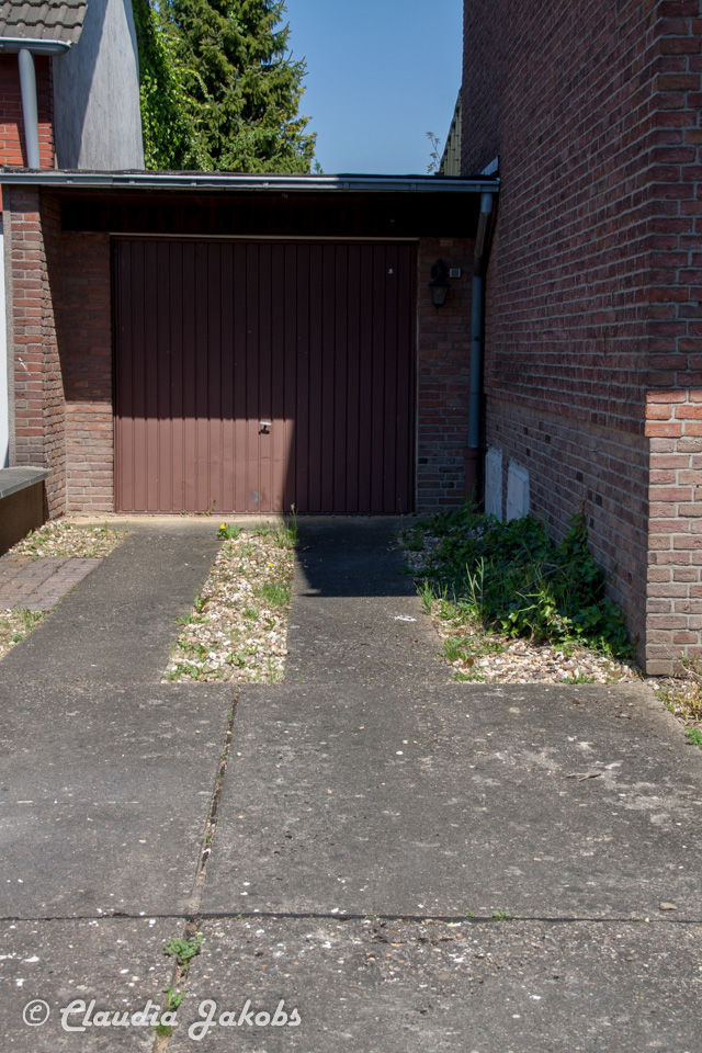 20160508131038 IMG 0594