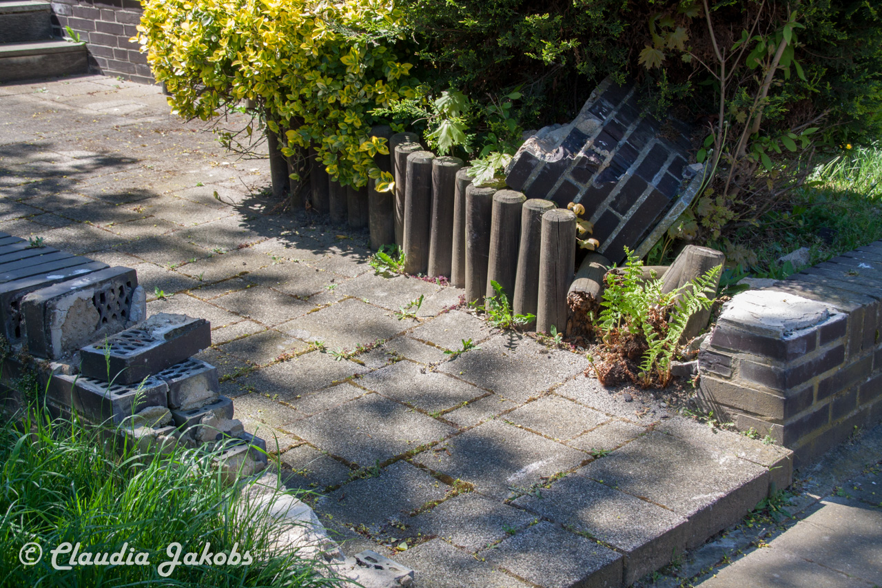 20160508131214 IMG 0599