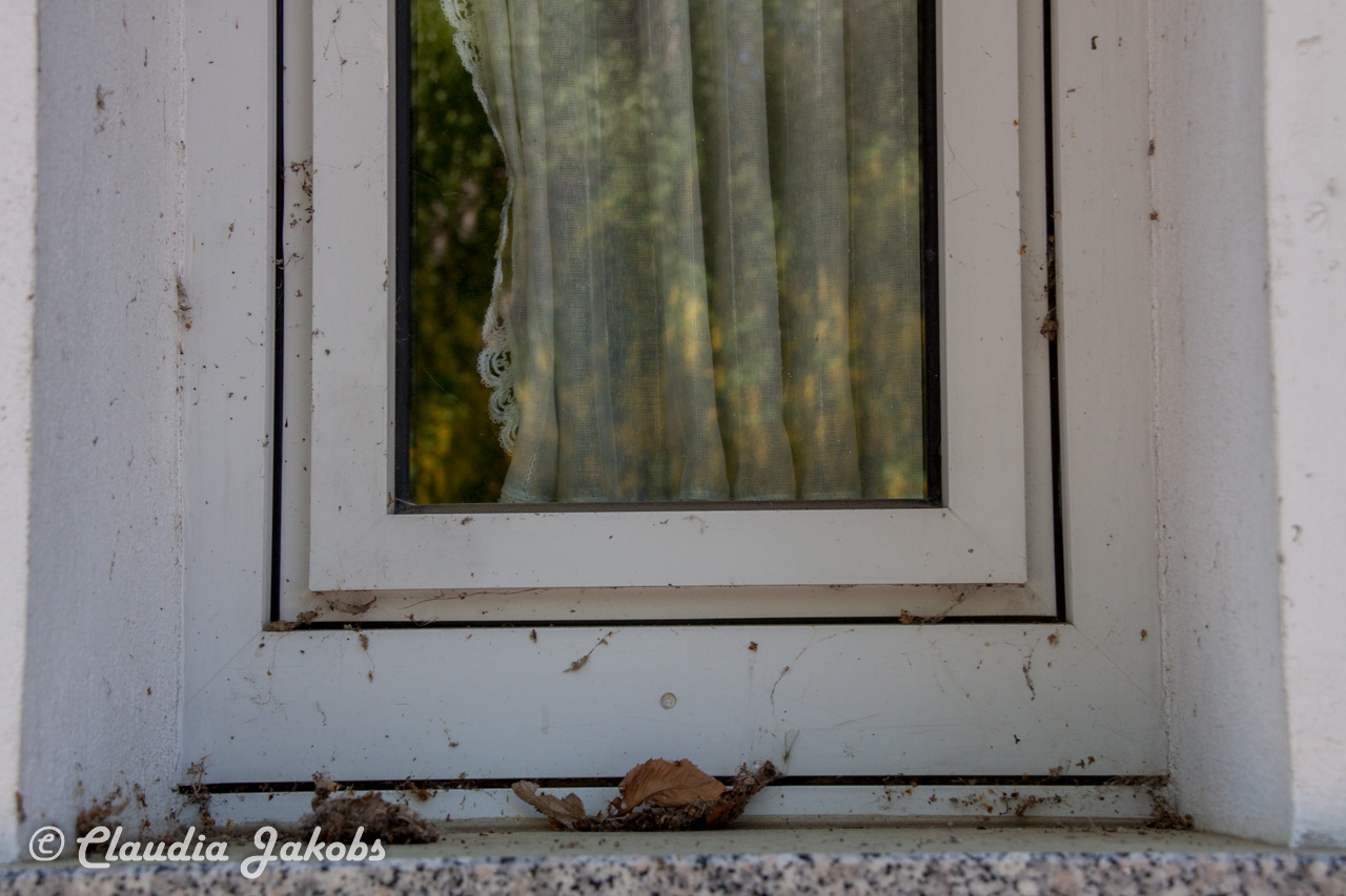 20160508131448 IMG 0603