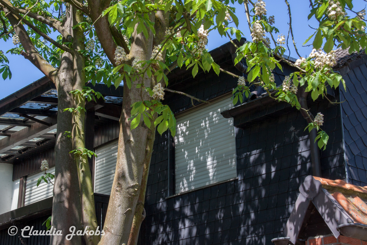 20160508131734 IMG 0607